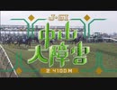 【ウマ娘風】第144回J・GI中山大障害(2021)