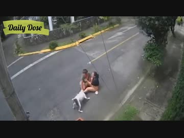 ホモと見る若い女を食らう犬VSおっさん