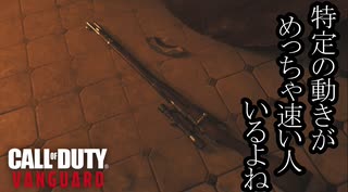 Call of Duty Vanguard ボイロ実況プレイ Part5