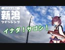 きりたんと行く新潟フィッシング　part3　青物！ショアジギ！