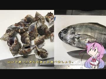 珍食材が食べたい！#63　ミヤコボラのぬたとオキアジのさんが焼き