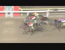 2021年12月27日大井競馬7R ２０２１ＹＪＳファイナルラウンド大井 第１戦(C2) ライヴクッキー