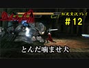 【Devil May Cry】画質の粗いDMCをグダグダプレイするpart12【初見実況】