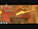 話が早い灼熱の龍【ゼルダの伝説スカイウォードソードHD】#48