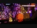 【車載動画】琴葉姉妹の夜景探索