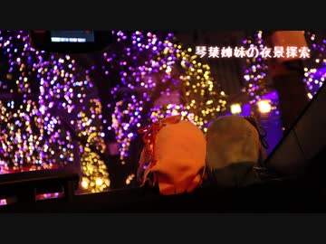 【車載動画】琴葉姉妹の夜景探索