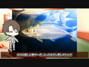 【ホラー？】鯵のたたき