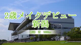 【ウマ娘風】２歳新馬・芝1800m(新潟・2021)