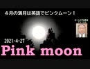 ４月の満月　pink moon