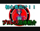 【プロレス初心者向け】プロレス団体紹介!!!!!!　【グレート・N・弘武】　＃プロレス系Vtuber