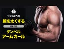 【家トレ】太い腕を作る 腕トレーニング | ダンベル・アームカール【ビーレジェンド プロテイン】