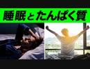 睡眠とたんぱく質の関係 | 睡眠の質を向上させる栄養素【ビーレジェンド プロテイン】