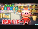 【あつまれ どうぶつの森 ハッピーホームパラダイス実況】別荘？？OK！任せて！ちえりの別荘「スーパーで試食リポート！」完成編