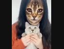 ホモと見る　女vs猫
