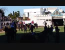 ただ飛田愛斗騎手を中山競馬場で見たかっただけの人