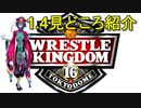 【見どころ紹介！！】1月4日開催 WRESTLE KINGDOM 16【グレート・N・弘武】