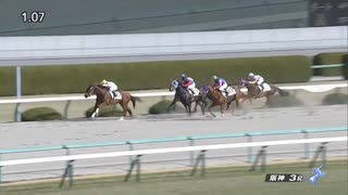 ペプチドヤマト　阪神・2歳未勝利　2021年12月28日