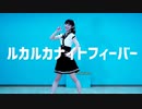 【ぽんちゃん】ルカルカナイトフィーバー　踊ってみた