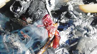 ぴ【サバイバル生活】水の煮沸と食材採取編