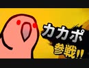 身内で盛り上がるparrot