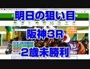 【競馬予想tv】明日の狙い目 阪神3R 2歳未勝利2021 最終結論 最適な軸馬はこの馬で間違いない 有馬記念 東京大賞典【武豊tv ルメール】