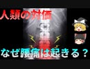 【ゆっくり解説】人類の宿命！？腰痛は何故起きるのか？