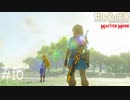 ウツシエの記憶【ゼルダの伝説 ブレスオブザワイルド マスターモード】#10