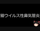 【ゆっくり朗読】ゆっくりさんと不思議な病気 その465