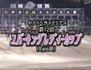 競馬　2008年 スパーキングレディーカップ