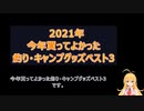【2021年】今年買ってよかった釣り・キャンプグッズベスト3【弦巻マキ実況】