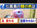 【ゆっくり解説】なぜ七面鳥と呼ばれるのか？