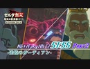 【参考動画】ゼルダ無双 厄災の黙示録RTA NG+/Easy 追憶の守護者 51:55 Part2