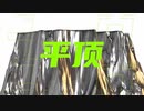 《平顶》