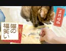 猫の前で猫の福笑いしてみた