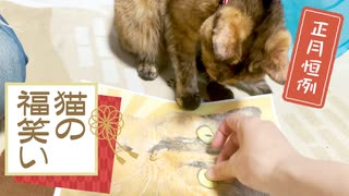 猫の前で猫の福笑いしてみた