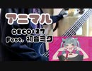 【710.】DECO*27 - アニマル feat. 初音ミク アニマルと一緒にベースで弾いてみた ฅ^ ̳• ·̫ • ̳^ฅ
