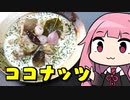 【鶏モモ肉のココナッツミルクスープ】「茜ちゃんが美味いと思うまで」R〒A 50:31  WR