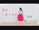 ✞『架撫』回る空うさぎ 踊ってみた