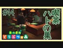 大晦日に喫茶ハトの巣でコーヒーを飲むアルバイト【あつまれどうぶつの森】#44