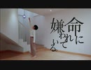 【そいらて】命に嫌われている。／まふまふ【踊ってみた】