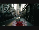 48. こたつで寝た夜