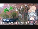 【CeVIO車載】栃木を走る#28　日光塩原紅葉狩り