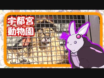ゆかウサギ動物園　#6【宇都宮動物園】