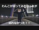 わんこがまわってみたかった（回れなかった）