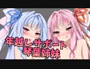 琴葉姉妹に年越しをサポートしてもらう動画