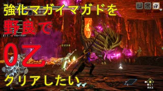 【MHRise】炎の如くマガイマガド野良0乙挑戦【操虫棍】