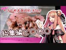 琴葉茜のやさぐれ式自炊術#06.5　総集編と○○○