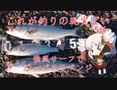 これが釣りの現実ばい5（サーフシーバス狙い）【VOICEROIDフィッシング】