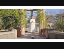 【感謝を込めて】LIFE 踊ってみた【ちぇり】