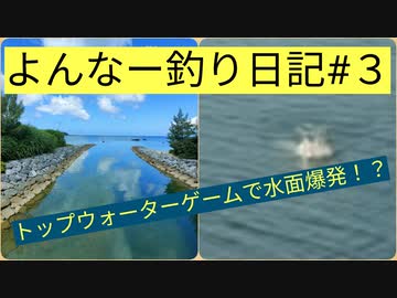 よんな～釣り日記#3・2021年の釣果まとめ